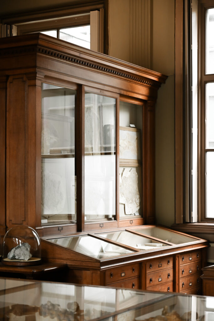 Teylers Museum