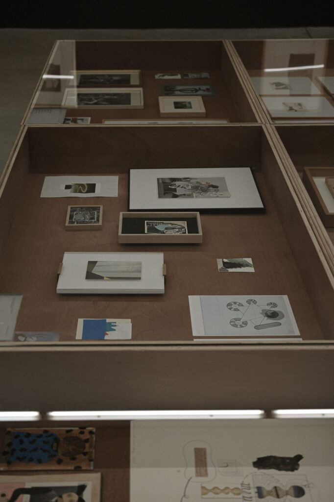 verbeke foundation