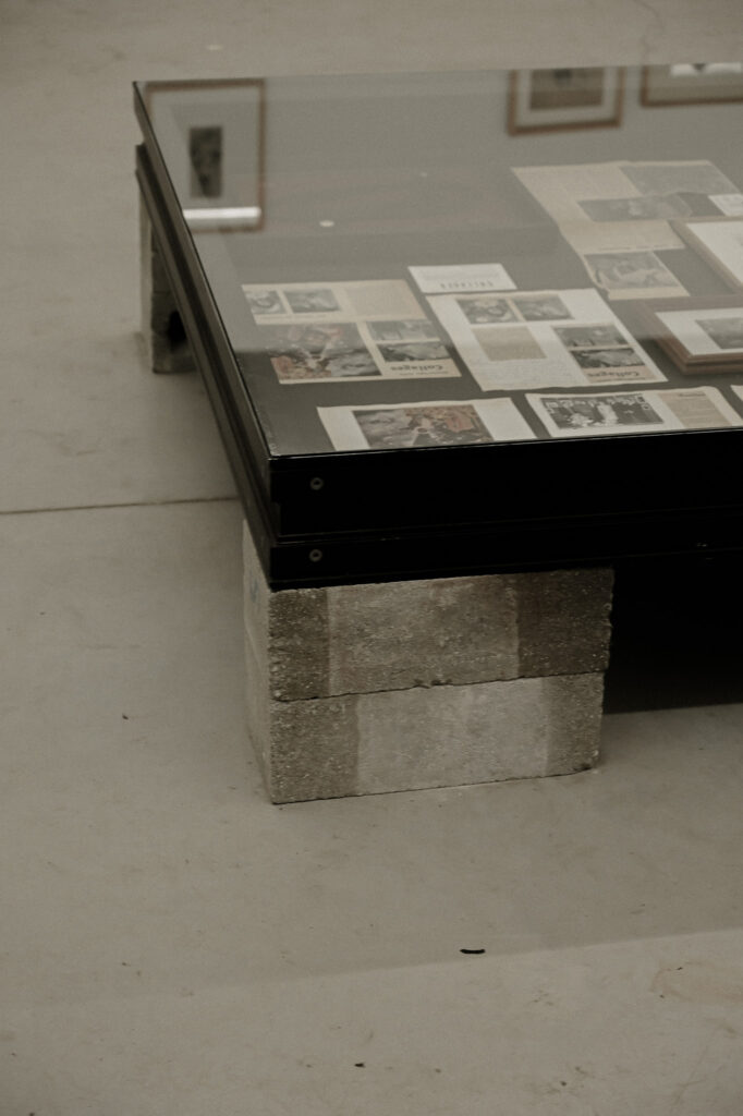 verbeke foundation