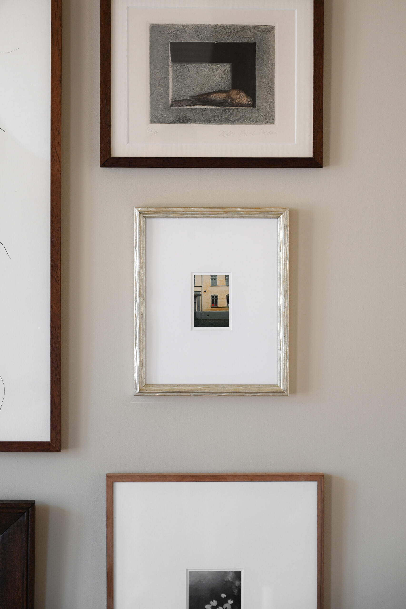 Michiel Johannes Photography