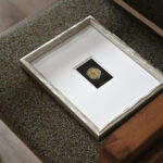 Michiel Johannes Photography