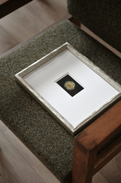 Michiel Johannes Photography