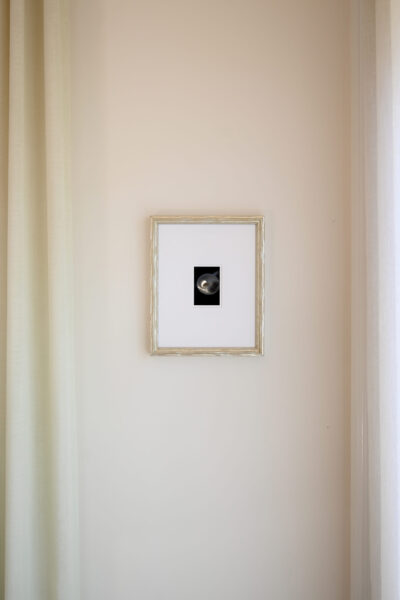 Michiel Johannes Photography